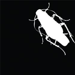 The Plague Mass : Demo 2004 The Plague Mass : Demo 2004